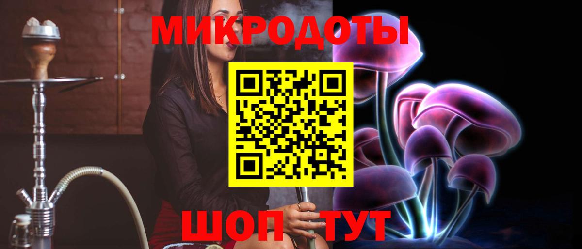 Псилоцибиновые грибы Psilocybe Лыткарино
