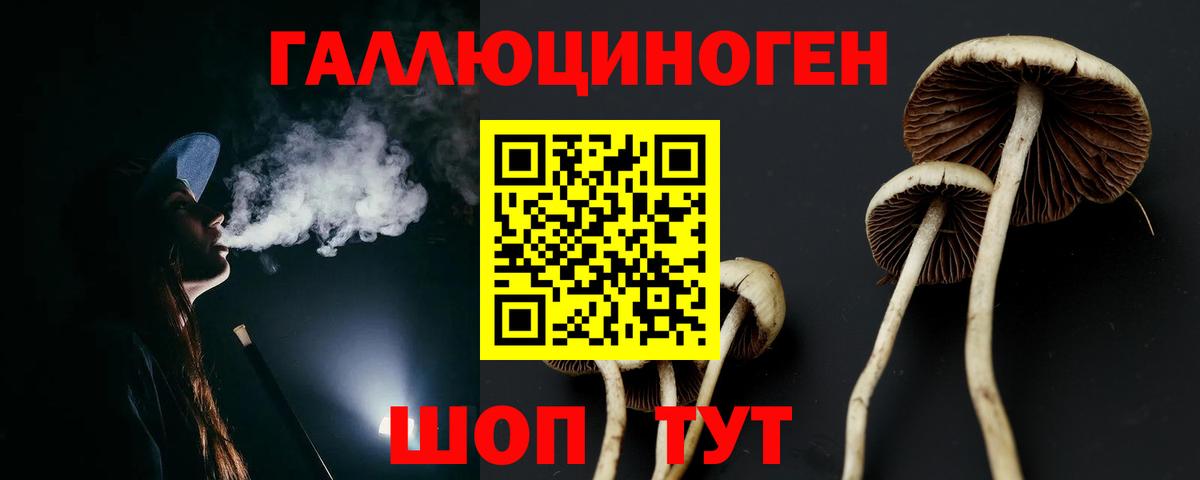 Псилоцибиновые грибы Psilocybine cubensis  Псилоцибиновые грибы прущие грибы  Лыткарино  Вход с VPN 